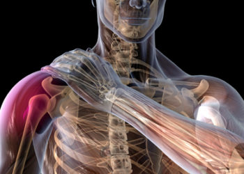 Illustrazione anatomica della spalla e dei tessuti molli
